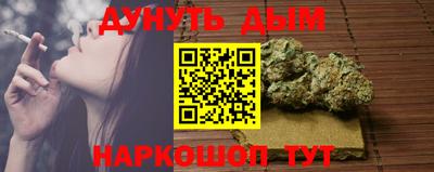 крисы Аргун