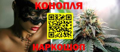 крисы Аргун