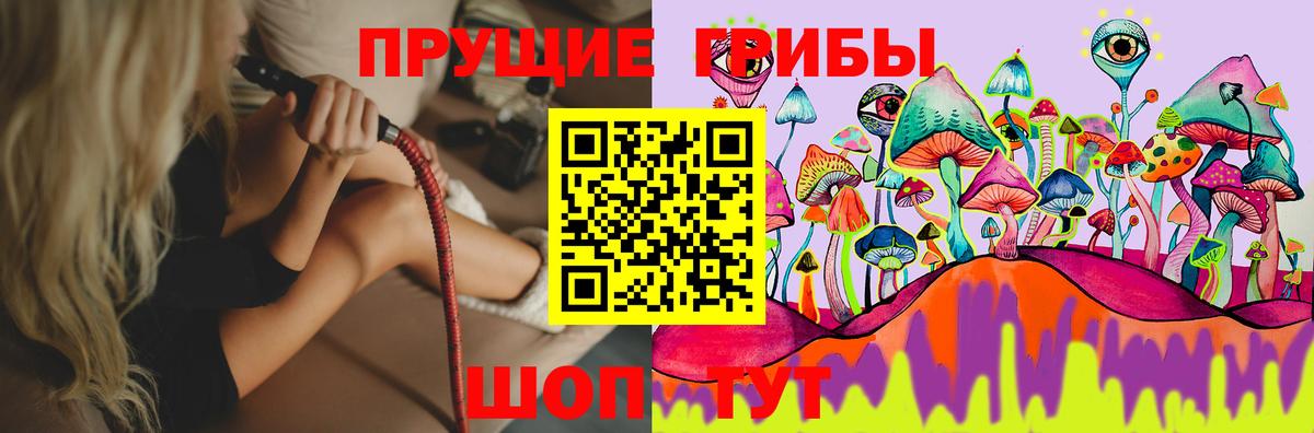 Псилоцибиновые грибы GOLDEN TEACHER  Галлюциногенные грибы Psilocybe  Вход с VPN  Ахтубинск 